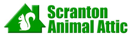 Scranton Animal Attic